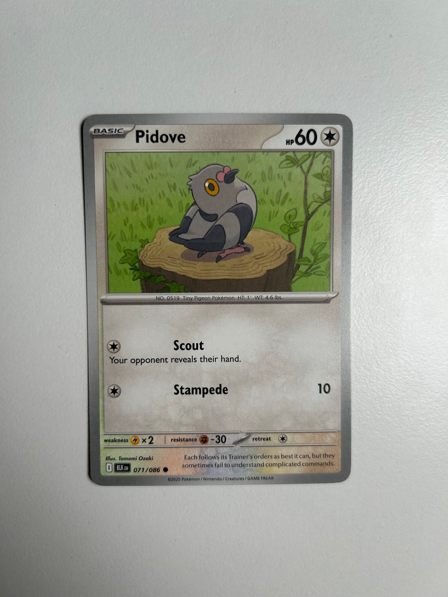 Pidove - SV: Black Bolt