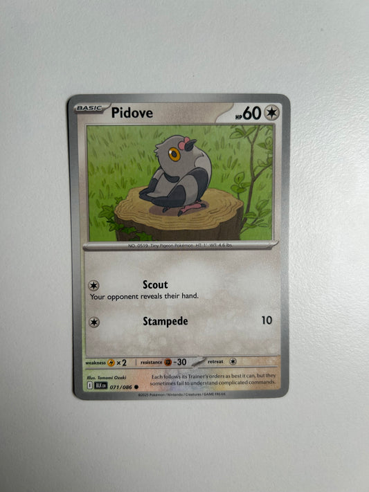 Pidove - SV: Black Bolt
