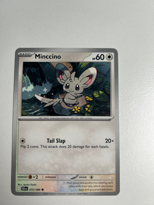Minccino - SV: Black Bolt