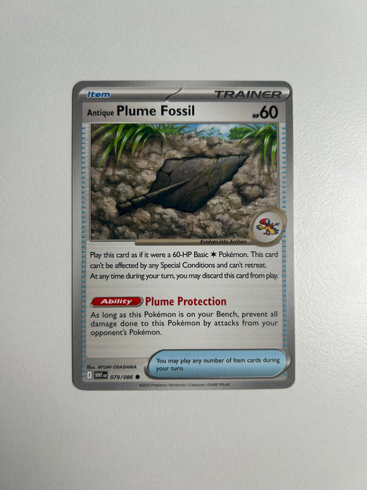 Antique Plume Fossil - SV: White Flare