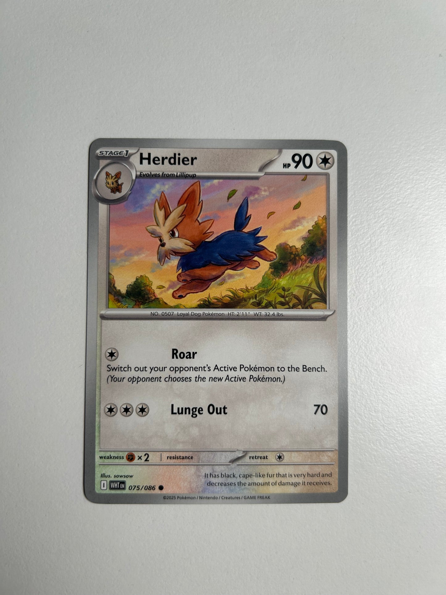 Herdier - SV: White Flare
