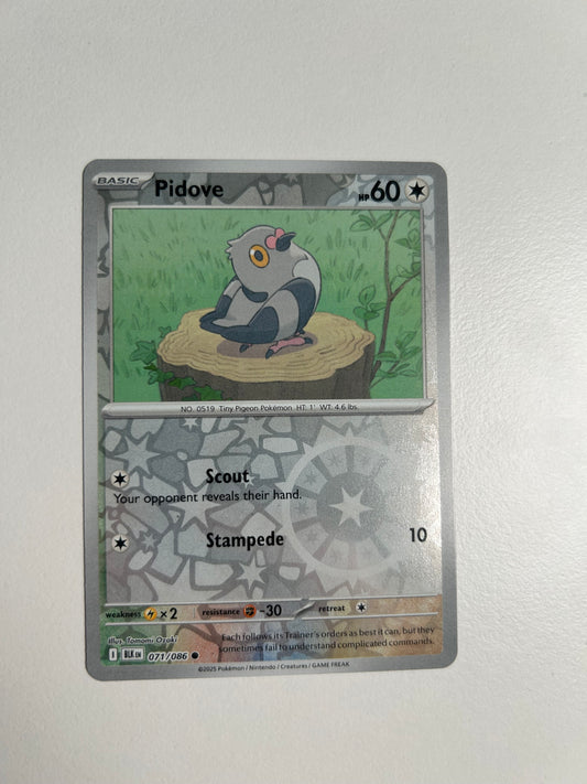 Pidove Reverse Holo - SV: Black Bolt