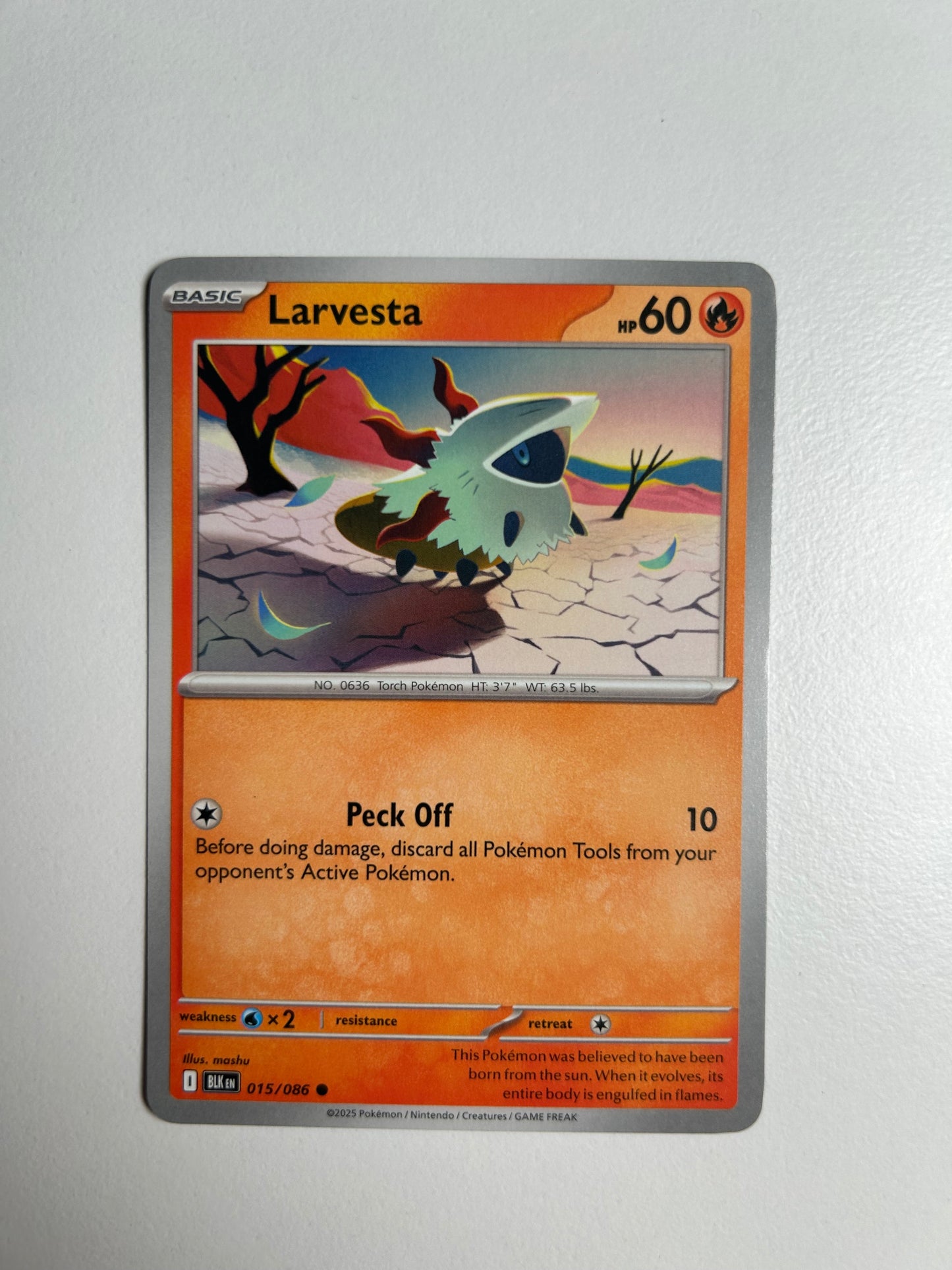 Larvesta - SV: Black Bolt