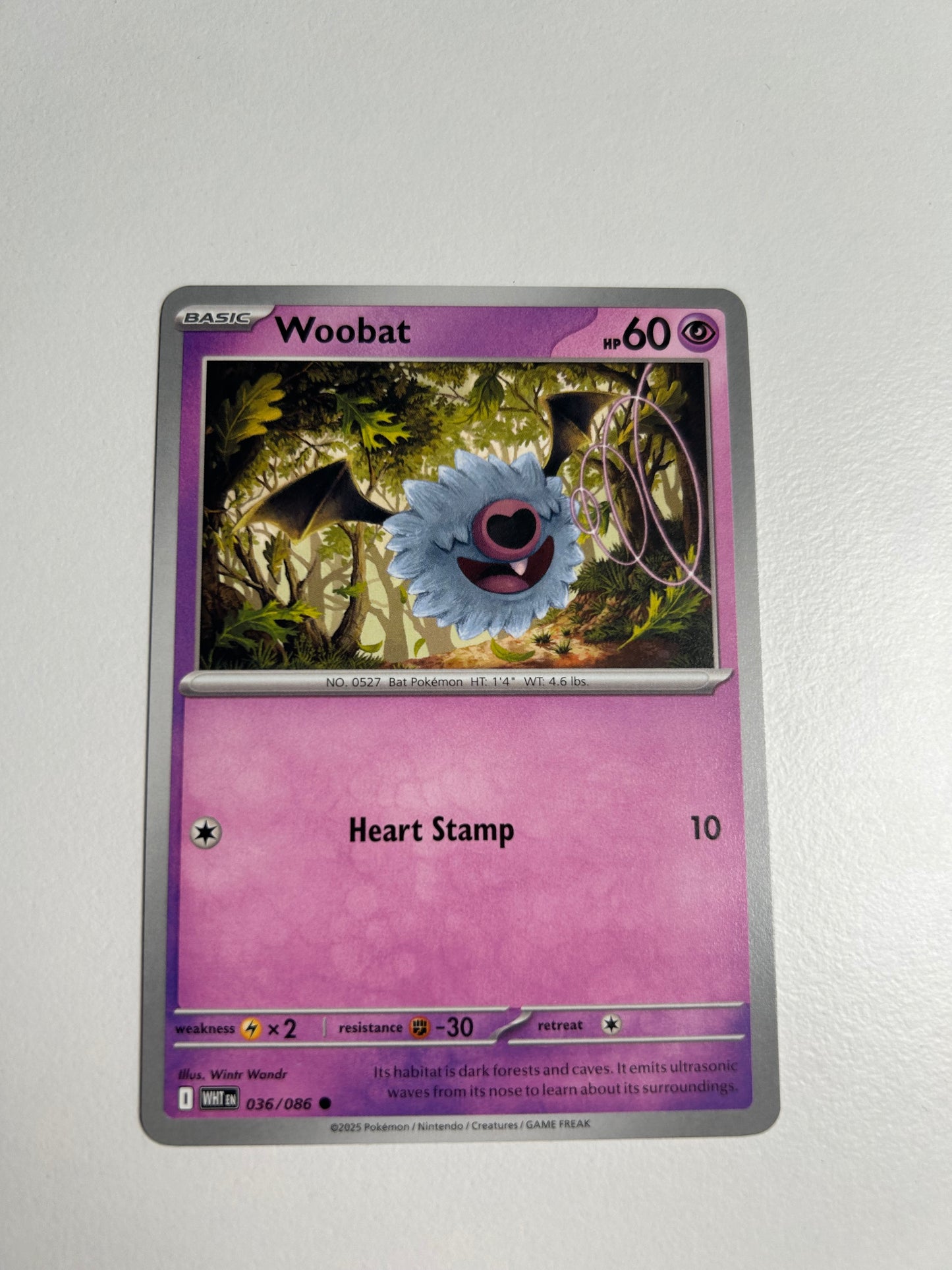 Woobat - SV: White Flare