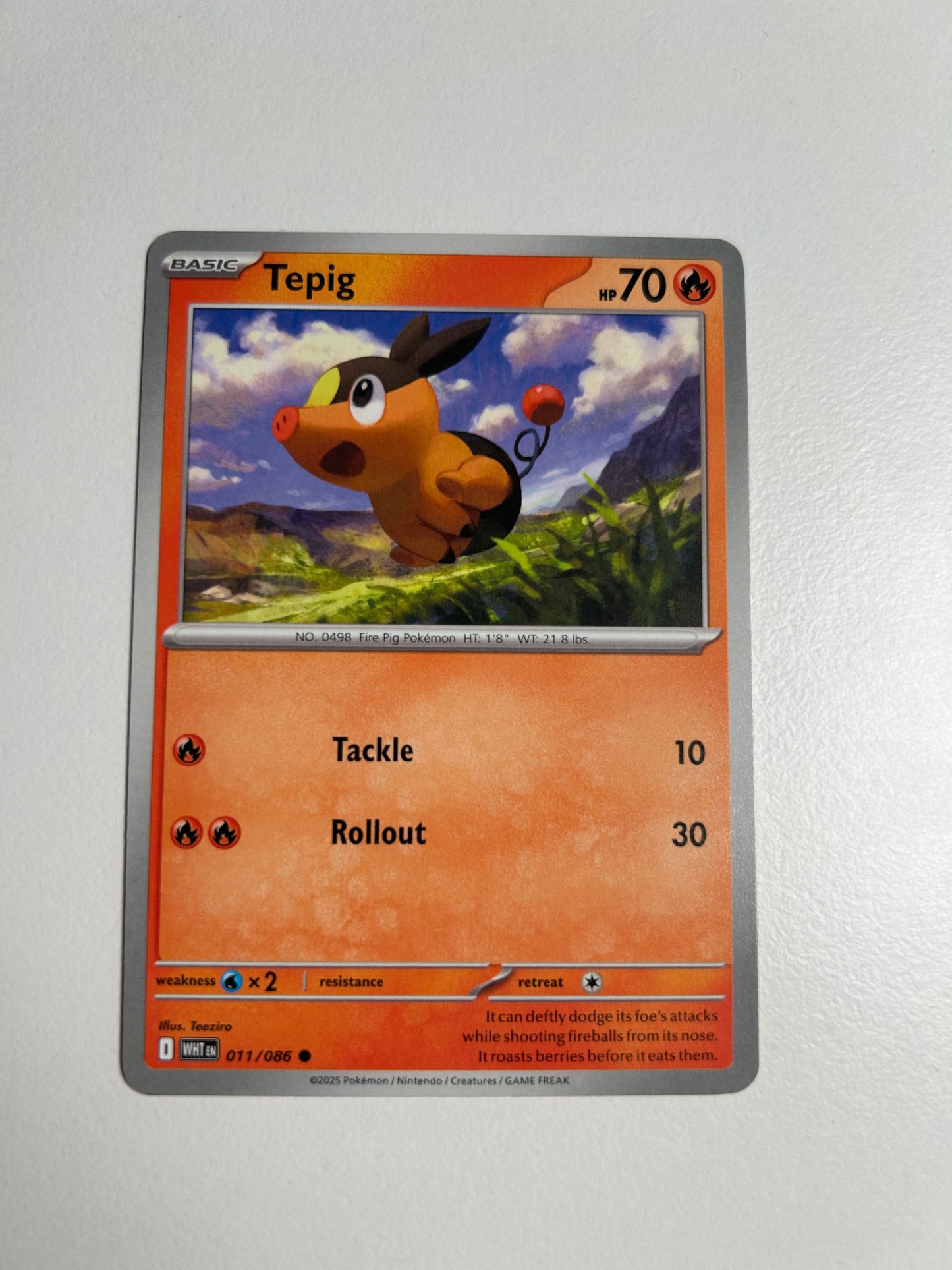 Tepig - SV: White Flare